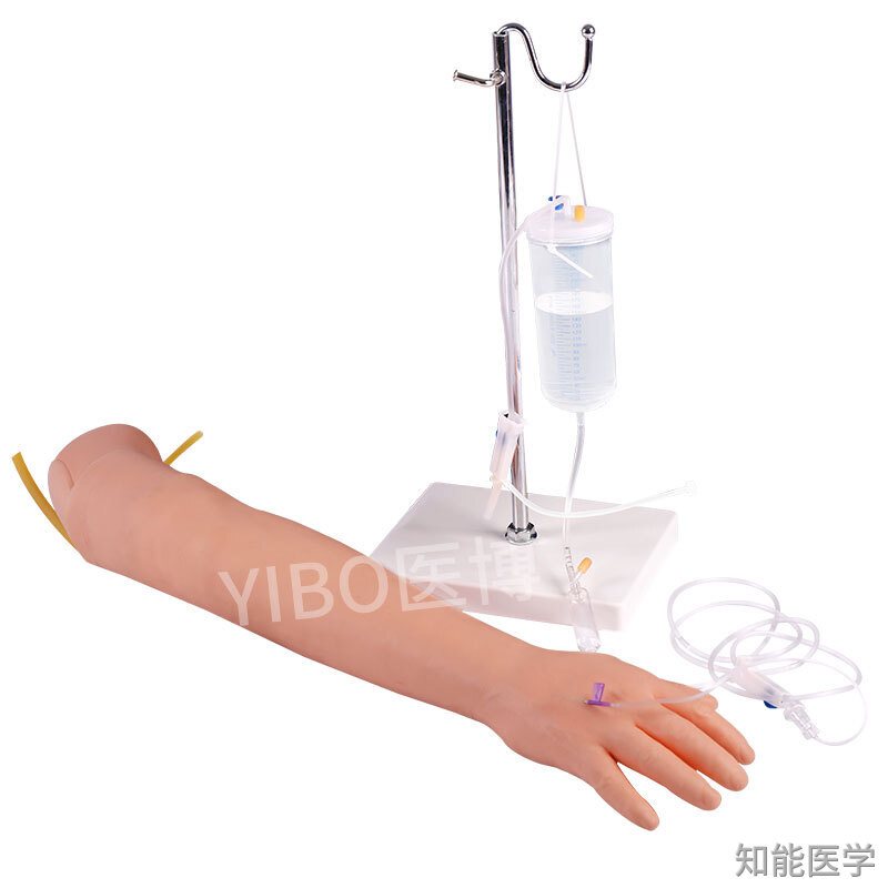 穿刺訓練模型 穿刺訓練模型