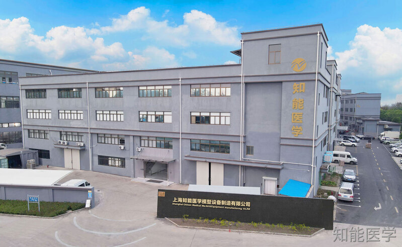 心肺復蘇模擬人廠家排名