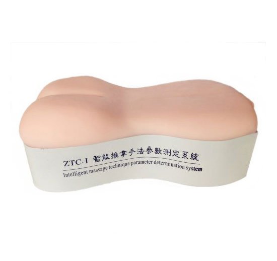 推拿模型 推拿模型