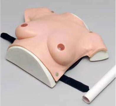 乳房檢查模型的作用