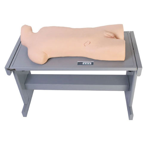 綜合穿刺模擬人