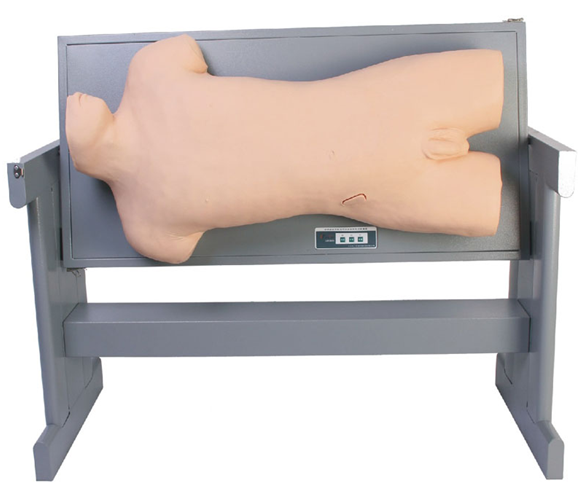 綜合穿刺模擬人的應用