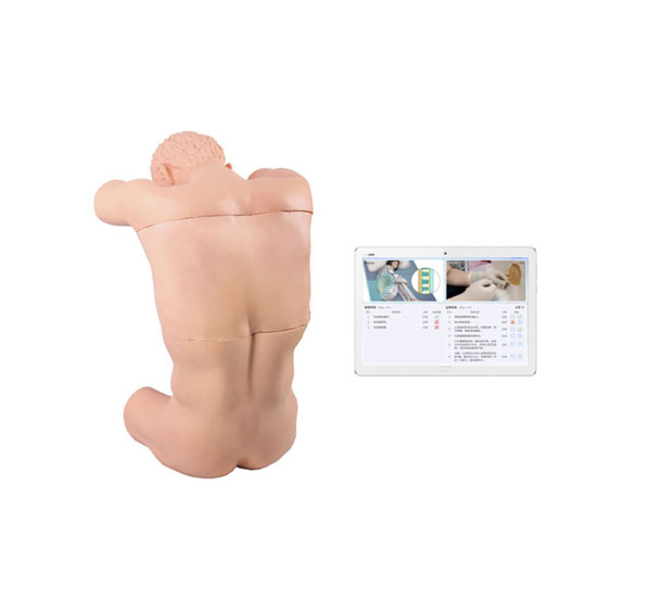 穿刺訓(xùn)練模型 穿刺訓(xùn)練模型