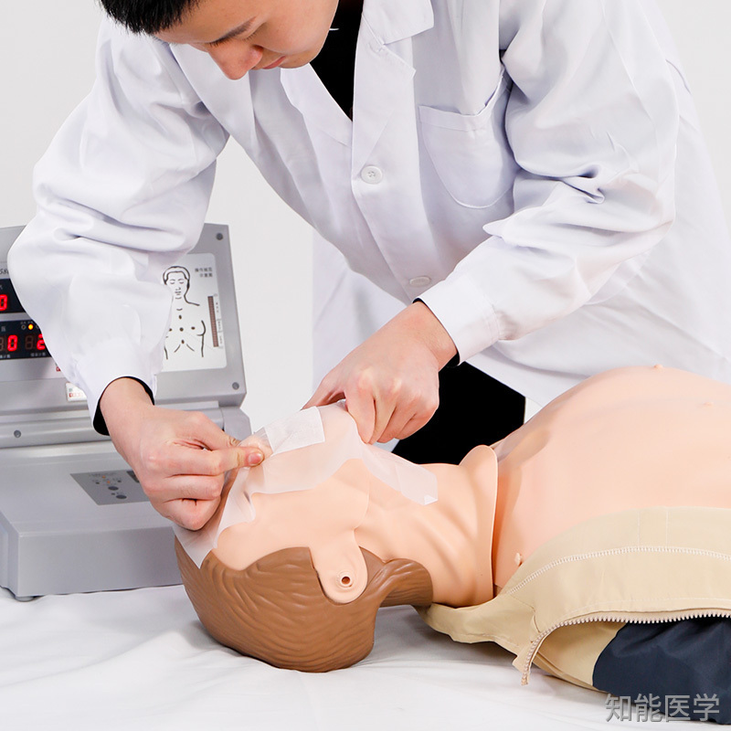 心肺復蘇模型
