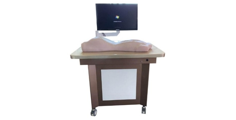 中醫(yī)拔罐、刮痧、推拿練習(xí)模型(BIX-BGTMX)