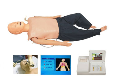 心肺復蘇模型